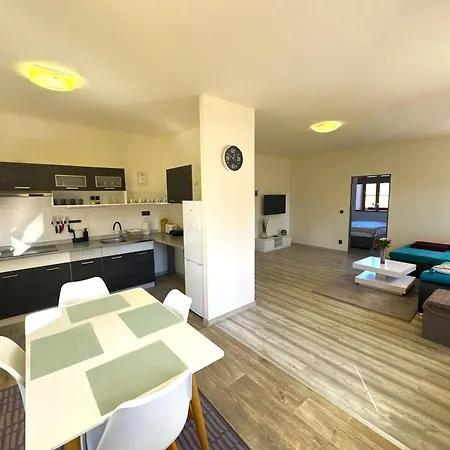 Apartman Spalovka Novy Bor Exterior photo